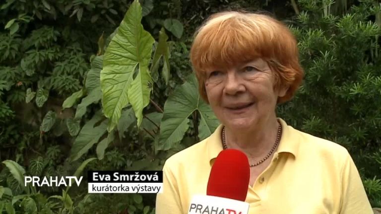 V Botanické zahradě poletují tropičtí motýli