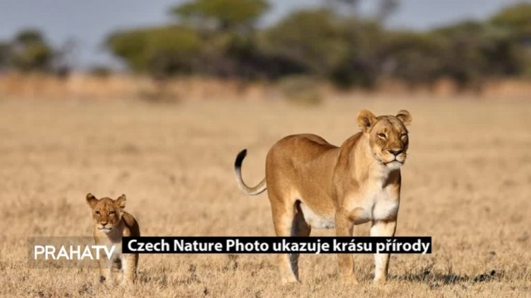 Czech Nature Photo ukazuje krásu přírody