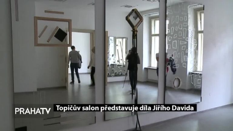 Topičův salon představuje díla Jiřího Davida