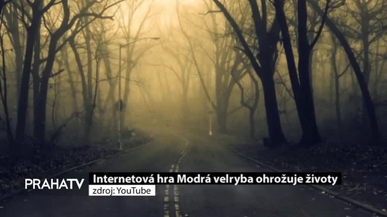 Internetová hra Modrá velryba ohrožuje životy