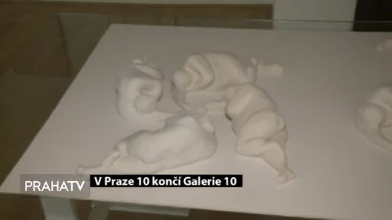 Psi bezdomovců dostali bezplatné očkování