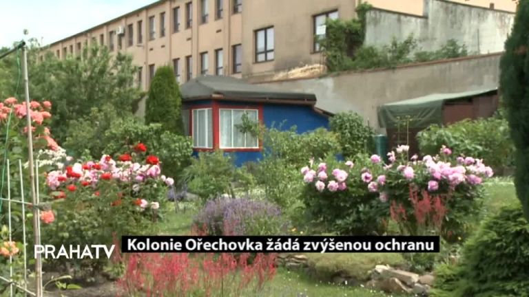 Kolonie Ořechovka žádá zvýšenou ochranu