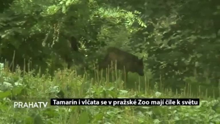 Navštívili jsme nepřístupné prostory Karlova mostu