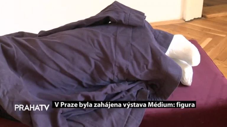 V Praze byla zahájena výstava Médium: figura