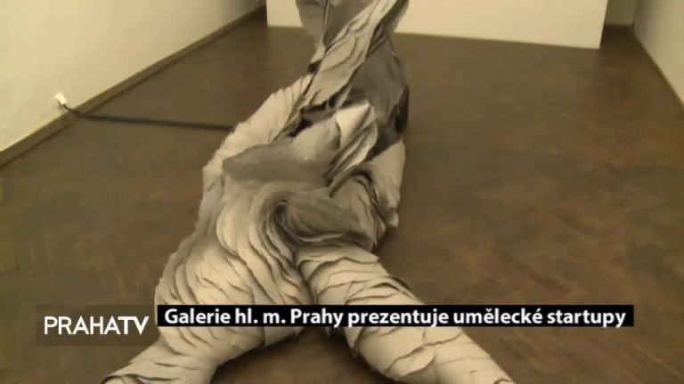 Galerie hl. m. Prahy uvádí umělecké startupy