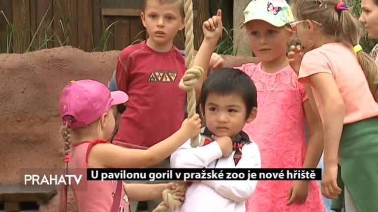 U pavilonu goril v pražské Zoo je nové hřiště