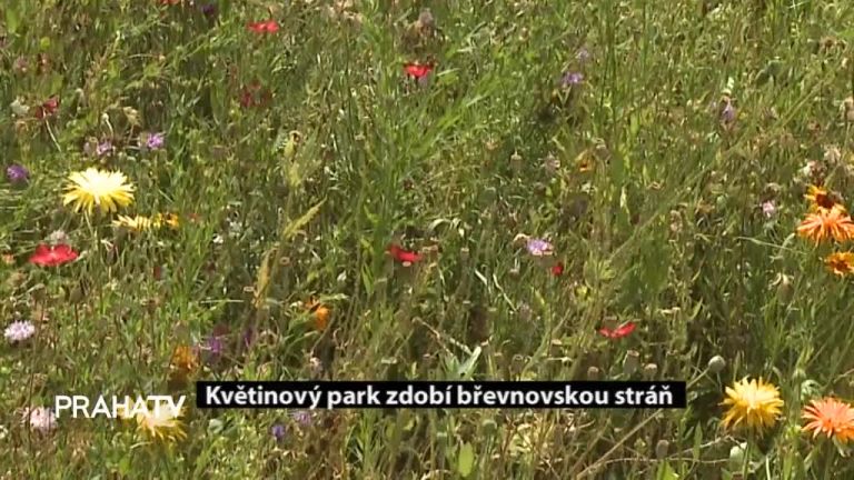 Květinový park zdobí břevnovskou stráň