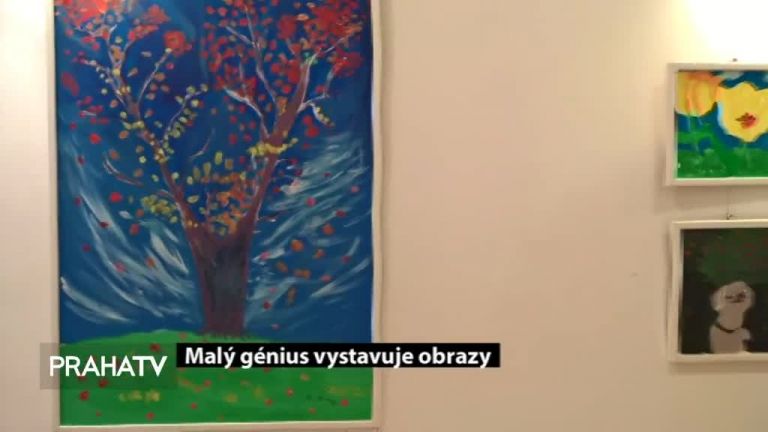 Malý génius vystavuje obrazy