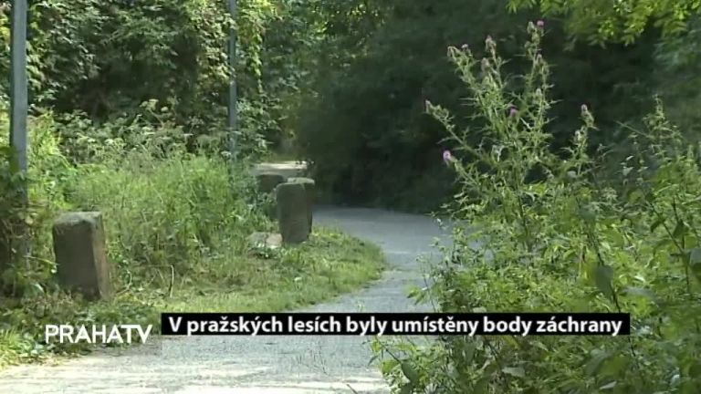 V pražských lesích byly umístěny body záchrany