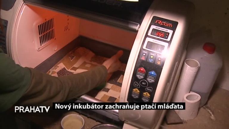 Nový inkubátor zachraňuje ptačí mláďata