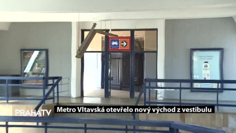 Pražské lesy ohrožuje dlouhodobé sucho