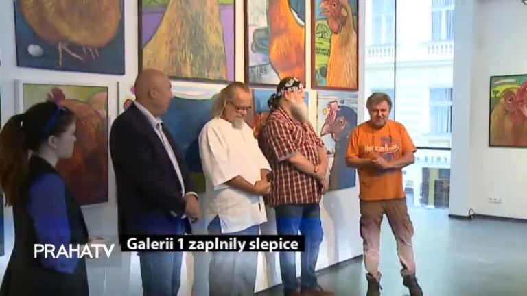Galerii 1 zaplnily slepice