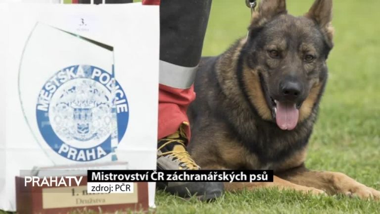 Mistrovství ČR záchranářských psů
