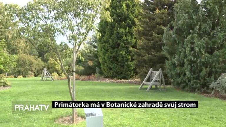 Primátorka má v Botanické zahradě svůj strom