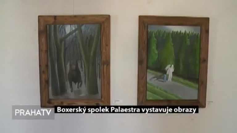 Boxerský spolek Palaestra vystavuje obrazy