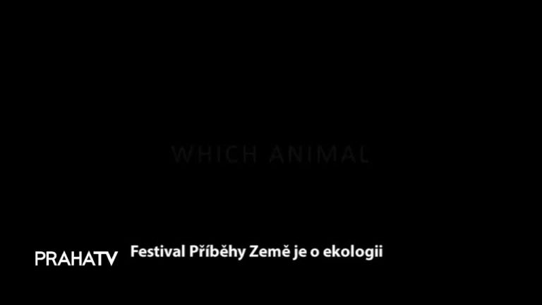 Festival Příběhy země je o ekologii