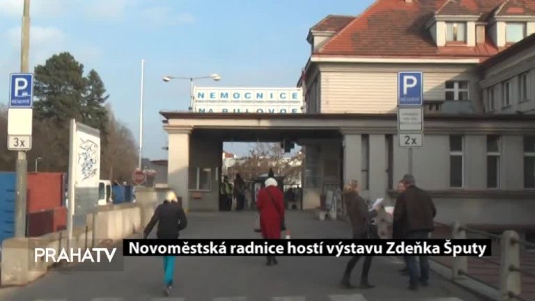 Novoměstská radnice hostí výstavu Zdeňka Šputy  