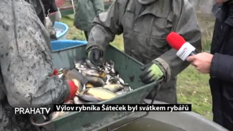 Výlov rybníka Šáteček byl svátkem rybářů 