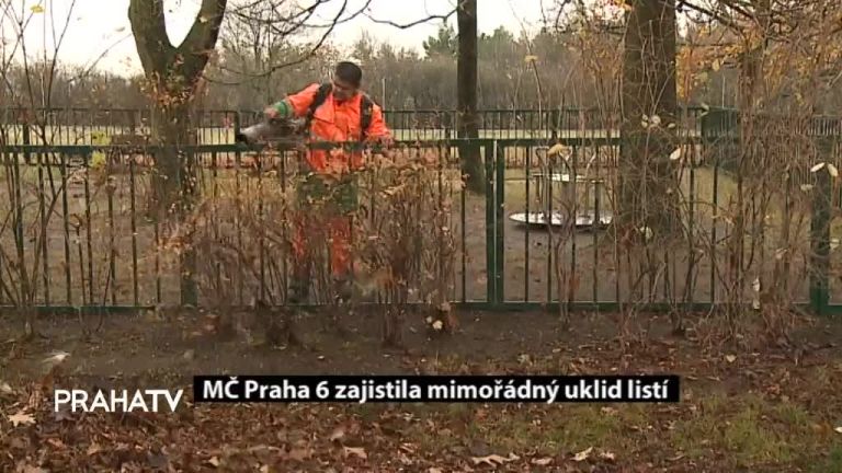 MČ Praha 6 zajistila mimořádný úklid listí