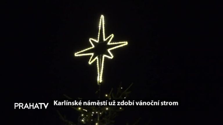 Karlínské náměstí už zdobí vánoční strom