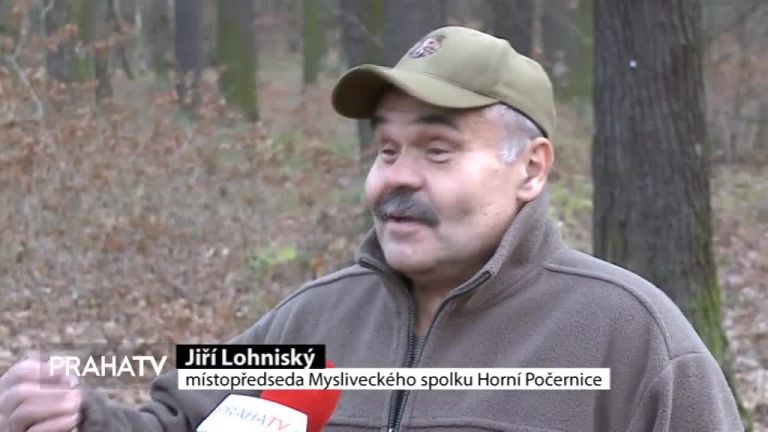Práce myslivce je romantika i dřina