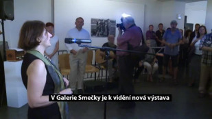 V Galerie Smečky je k vidění nová výstava