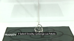 V Galerii Smečky vystavuje Lea Fekete