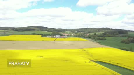 Potraviny z domoviny