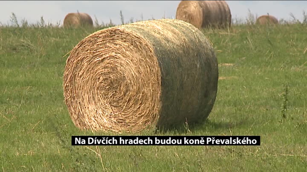 Pražský týdeník