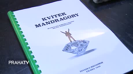 Kam vyrazit