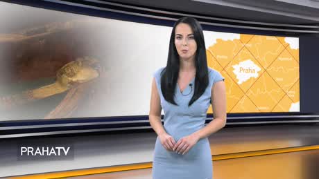 Kam vyrazit