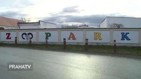 Kam vyrazit