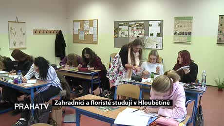 Studuj u nás