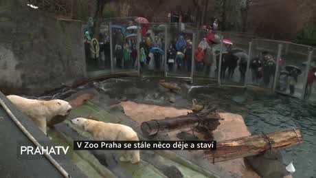 Pražské téma