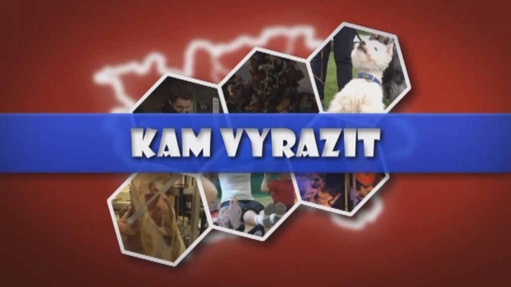 Kam vyrazit