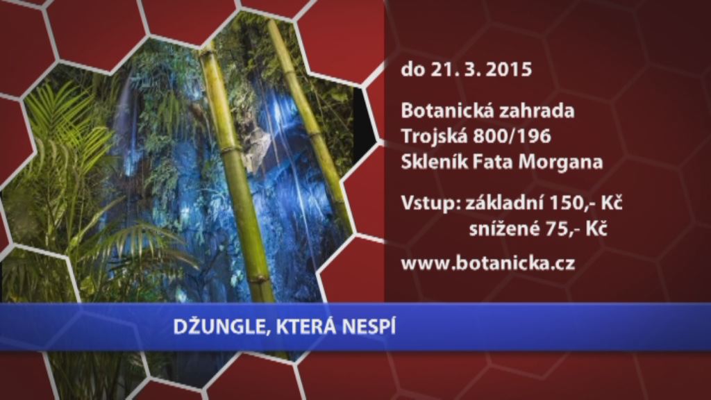 Kam vyrazit