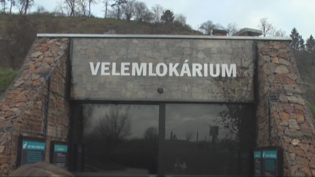 Kam vyrazit