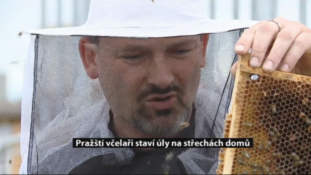 Zprávy z Prahy