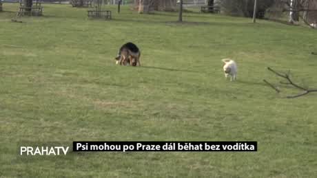 Týden v Praze