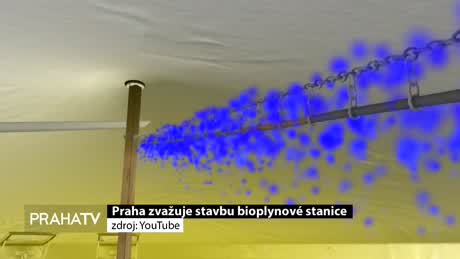 Zprávy z Prahy
