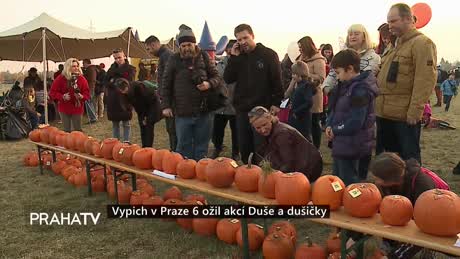 Zprávy