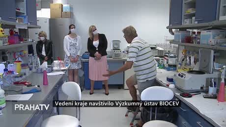Zprávy