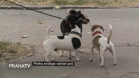 Zprávy
