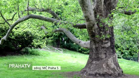 Zprávy