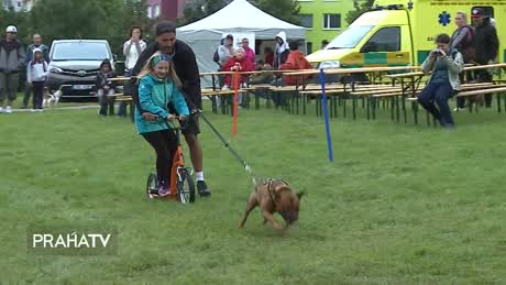 Zprávy