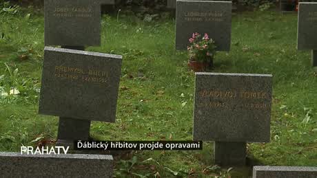 Zprávy