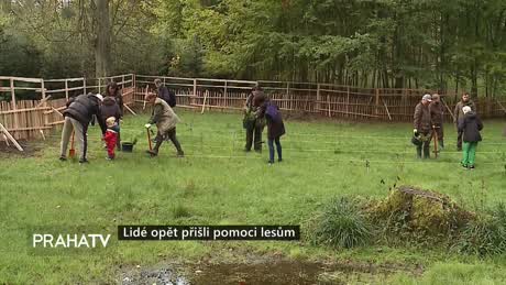 Zprávy