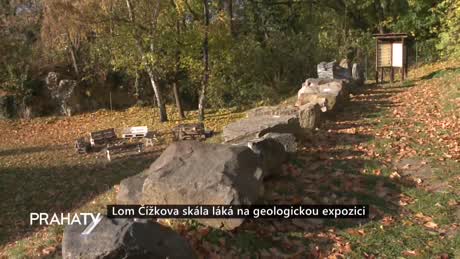 Zprávy