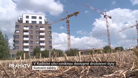 Zprávy