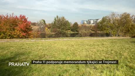 Zprávy